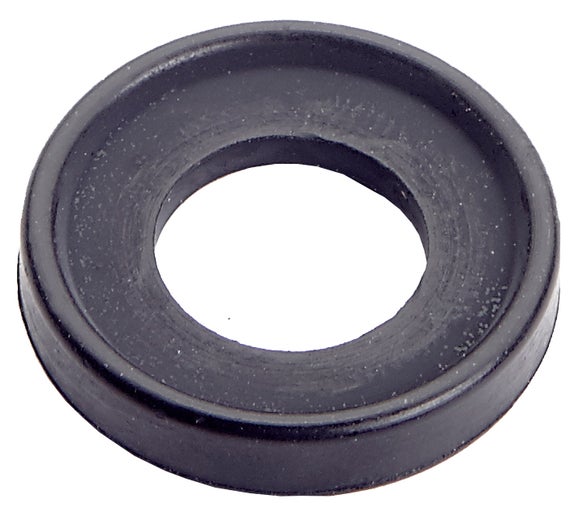 Aquafine Gasket, 0.75" D, EPDM