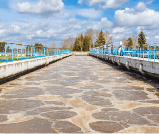 DAF in sludge treatment