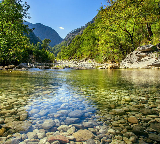 A mountain river stream representing an influent water source.